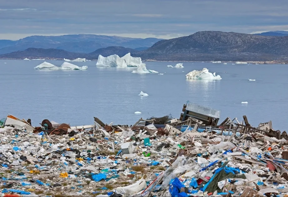 Hər il dünyada milyonlarla ton plastik tullantı təbiətə atılır