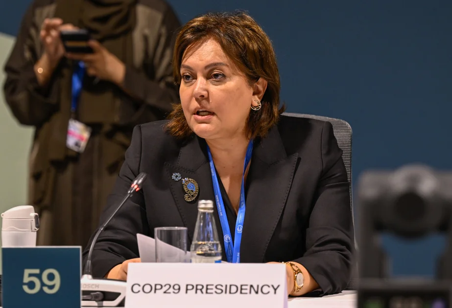 COP29 çərçivəsində RioTrio Təşəbbüsünə həsr olunmuş tədbir keçirilib AZƏRTAC