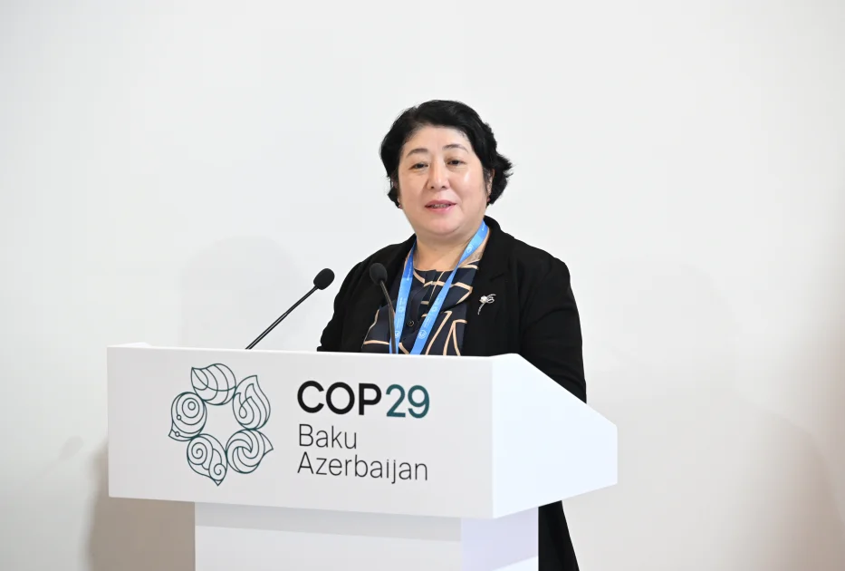 COP29 çərçivəsində Qafqaz dağlarının dayanıqlılığı və regional əməkdaşlıq müzakirə olunub