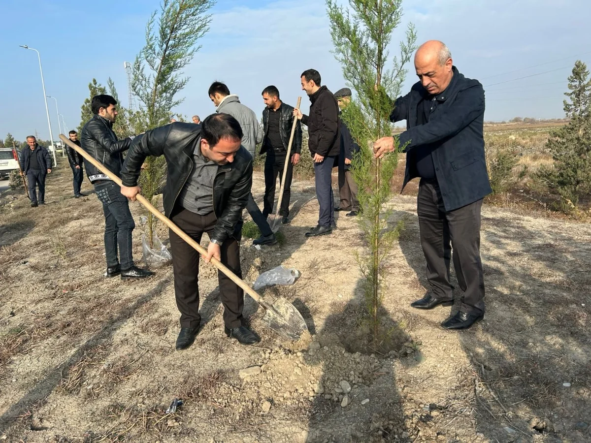 Kürdəmirdə YAPın təsis edilməsinin 32ci ildönümü münasibətilə ağacəkmə aksiyası keçirilib