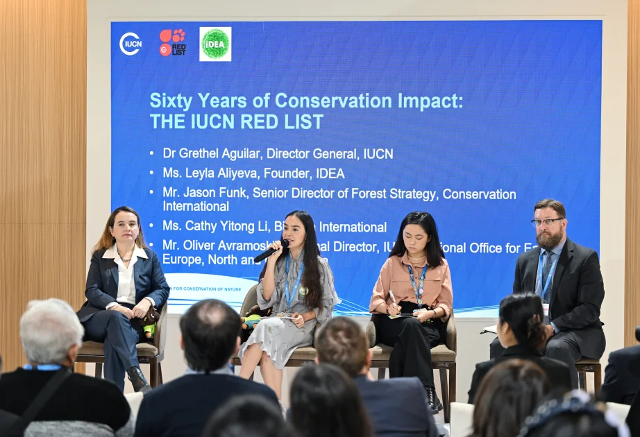 Leyla Əliyeva COP29 çərçivəsində nadir canlıların mühafizəsinə həsr olunan panel müzakirələrində iştirak edib VİDEO AZƏRTAC