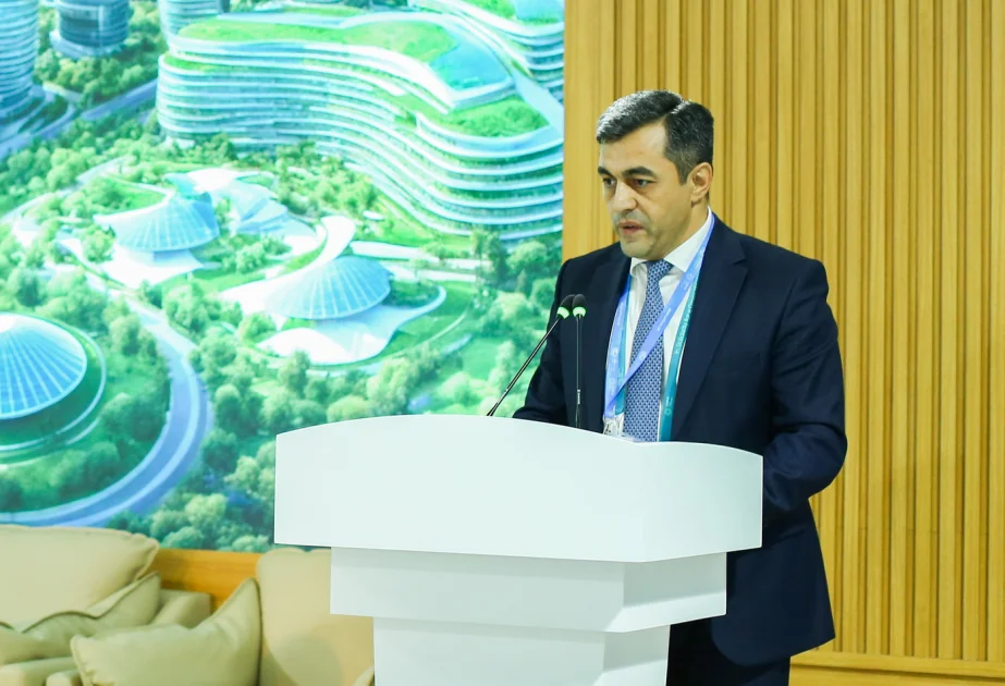 ® COP29 çərçivəsində “City for People in Baku” tədbiri keçirilib AZƏRTAC