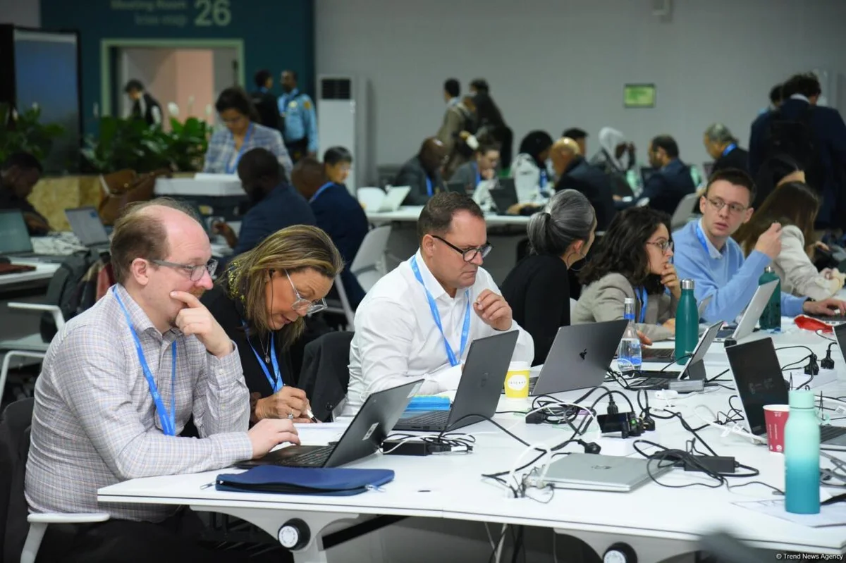 COP29un onbirinci günündən FOTOREPORTAJ