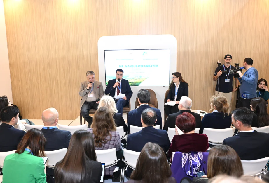 COP29da plastik tullantıların effektiv idarə edilməsi məsələsi müzakirə olunub AZƏRTAC