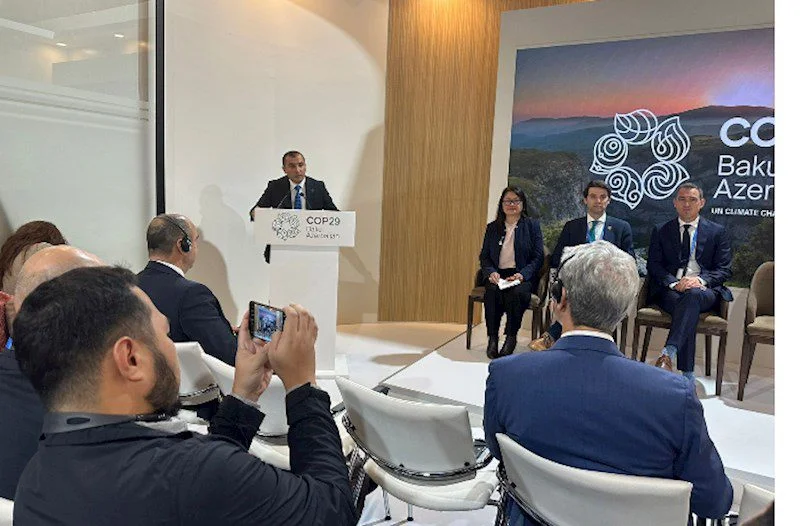 COP29da iqlim dəyişikliyi və biomüxtəliflik arasında əlaqə məsələləri müzakirə olunub Fotolar