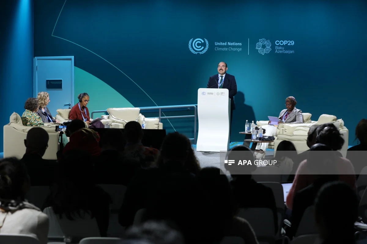 COP29da “Rio Üçlüyü” təşəbbüsünə həsr olunmuş yüksək səviyyəli tədbir keçirilib FOTO