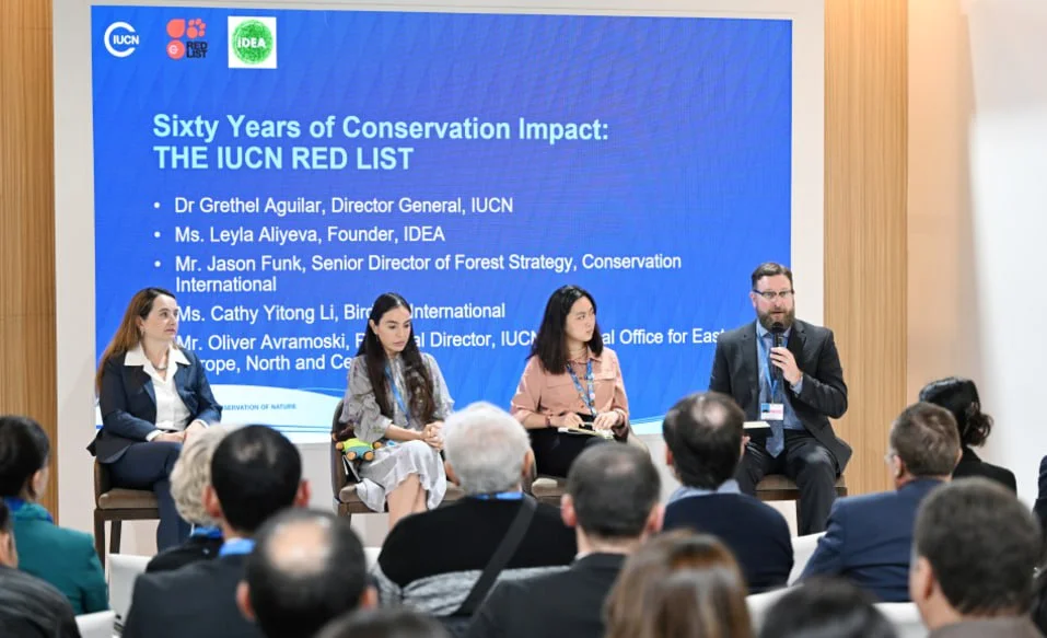 Leyla Əliyeva COP29da panel müzakirələrində iştirak edib FOTO