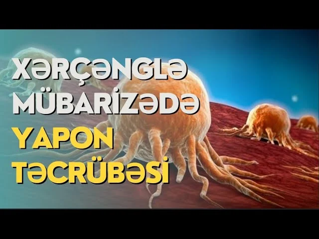 Xərçənglə mübarizədə Yapon təcrübəsi