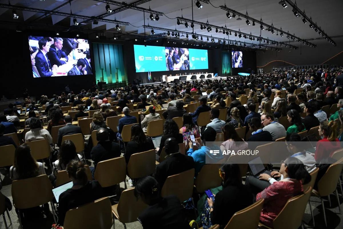 COP29 Prezidenti tərəfindən çağırılan “Qurultay” iclası keçirilib