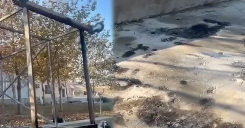 “Görən kimi içəriyə məlumat verdim” Hadisə şahidi danışdı Video Yenilənib