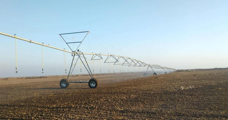 Biləsuvarda əkin sahələrində yeni suvarma texnologiyaları tətbiq olunur