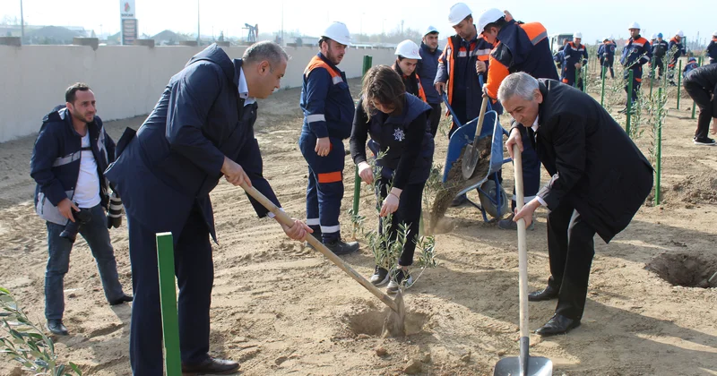 Sabunçuda YAP ın 33 illiyinə həsr olunmuş ağacəkmə aksiyası keçirilib