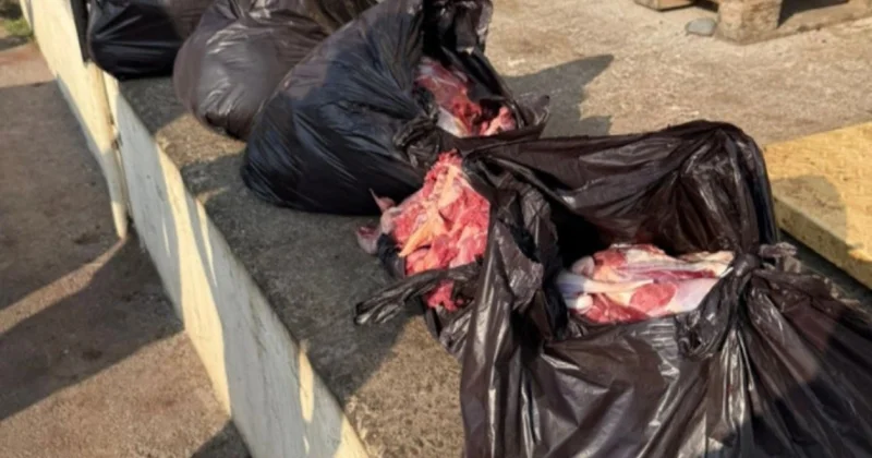 Bərdədə 154 kiloqram at ətini mal əti adı ilə satışa çıxardı