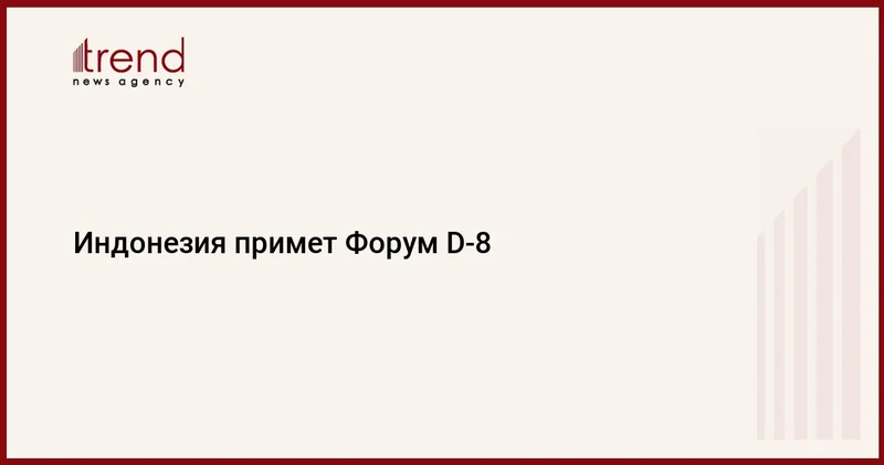 Индонезия примет Форум D 8