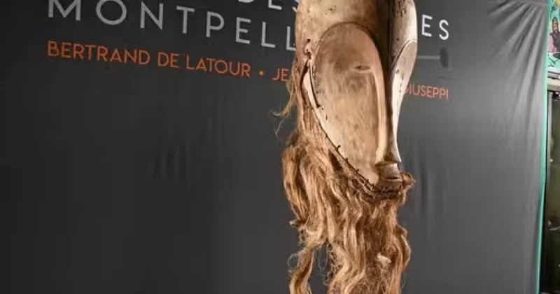 Nim Apellyasiya Məhkəməsi: Afrika maskasının satışı qanunidir