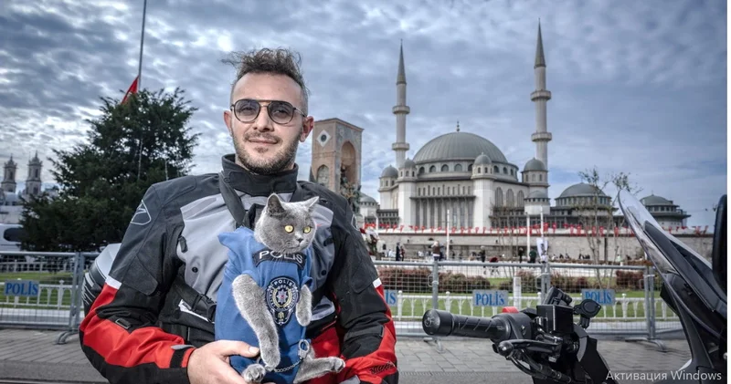 Motosikletli, kaskalı pişik: “Gofret” İstanbulda hər kəsi heyran etdi