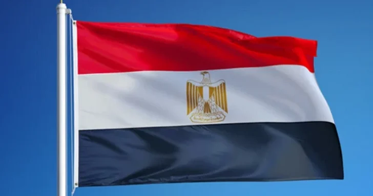 В Египте рассчитывают на скорый запуск Центра медиамастерства D 8