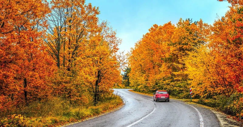 Şənbə gününün hava proqnozu