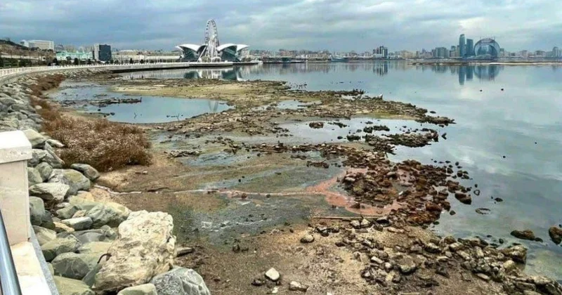 Xəzərdə suyun azalması ilə bağlı HƏYƏCAN TƏBİLİ Qorxunc xəstəliklər ARTA BİLƏR