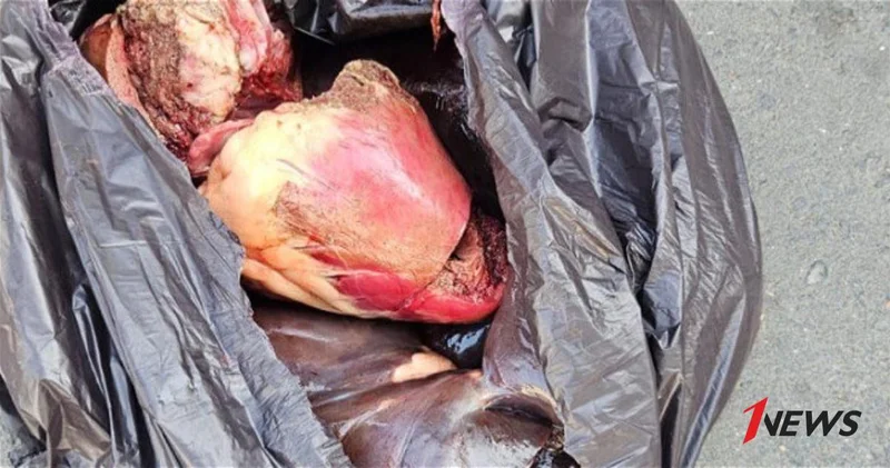 Более 150 кг конины, расфасованной под видом говядины, изъяли в Барде ФОТО