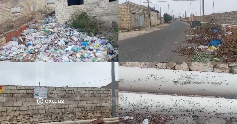 “Antisanitar vəziyyətdən əziyyət çəkirik“ TÜRKAN qəsəbəsindən ŞİKAYƏT