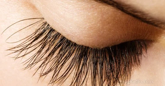 yaşayır və hər gecə dərimizin üzərində cütləşir KONKRET