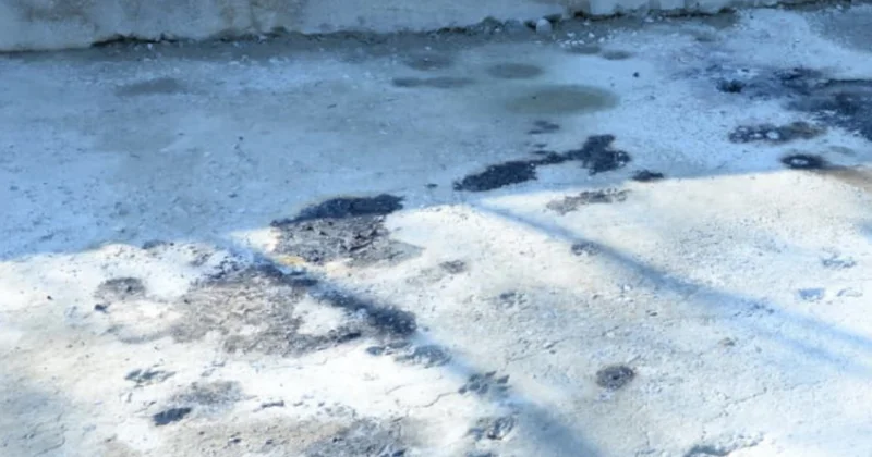 Hadisənin baş verdiyi yerdən görüntülər VİDEO