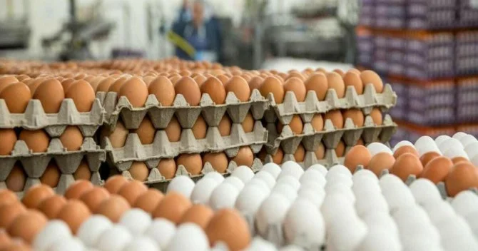 Yumurta buna görə bahalaşıb