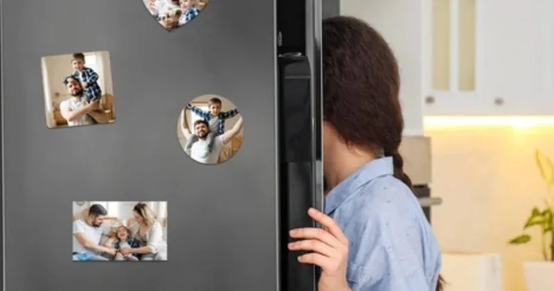 Soyuducunun qapısına maqnit yapışdırmaq onu tez xarab edir?