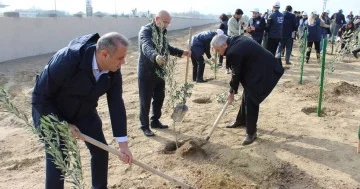 YAP ın rayon təşkilatları ağacəkmə aksiyaları keçiriblər