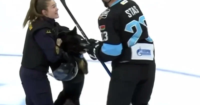 Собака вцепилась зубами в двух хоккеистов перед матчем ВИДЕО