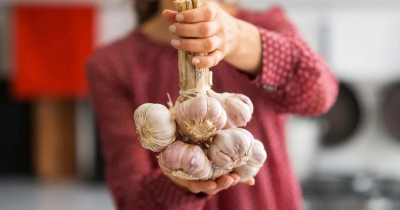 Sarımsaq ekstraktının yaşlılarda yaddaşa təsiri aşkar edilib...