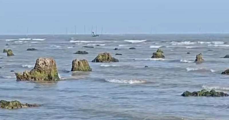 Xəzərin suyu çəkildi, meşə qalıqları üzə çıxdı Video