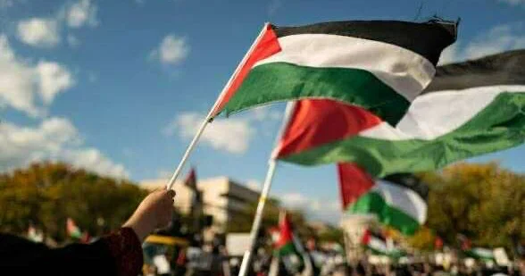 “Azərbaycanın bu missiyada iştirakı ölkəmizin beynəlxalq sülhqoruyucu statusunu gücləndirə bilər”