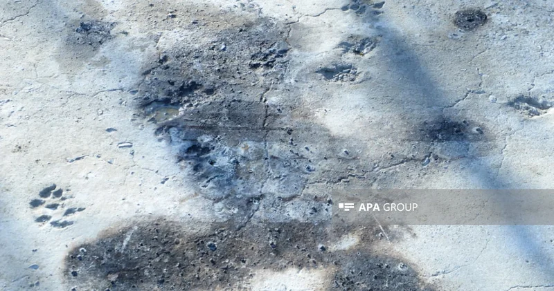 Bakıda hotelin 4 işçisini cəryan necə vurub?