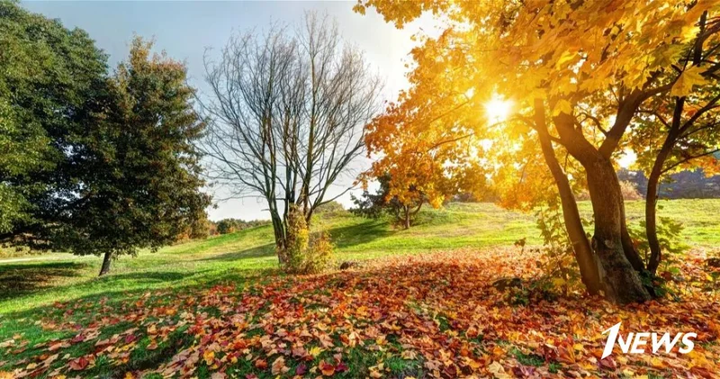 Погода на субботу: В Баку ожидается до 20 °C