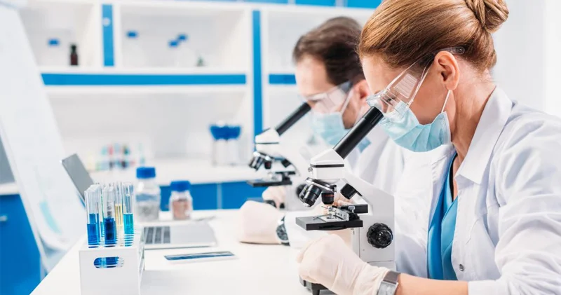 Dünyada ilk hansı heyvan peyda olub?