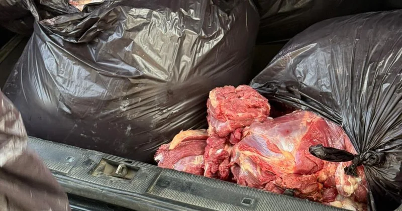 154 kq at ətini mal əti adı ilə Bakıda satmaq istədi FOTO