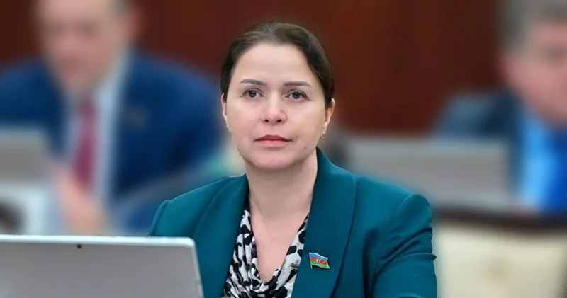 Deputatdan Gədəbəylə bağlı hökumətə çağırış