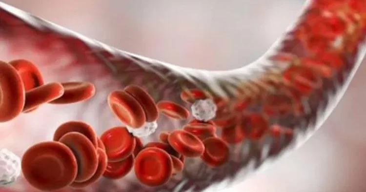 Tromboz qəfil yaranmır: Zərərli vərdişlər uzunmüddətli təsir göstərir