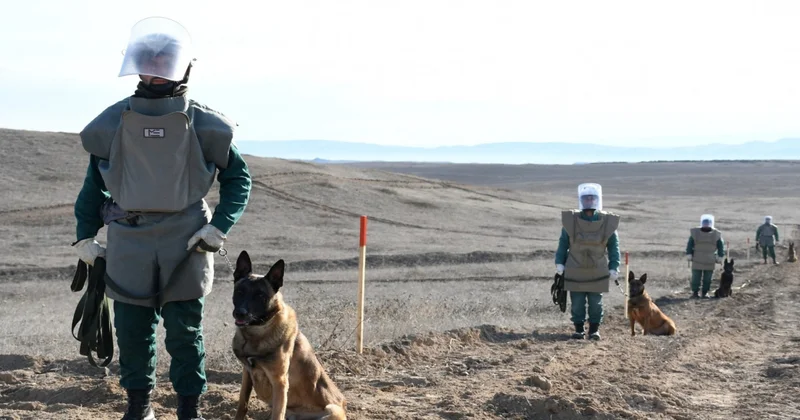 Bu qədər minadan təmizlənən ərazilərin sahəsi açıqlandı