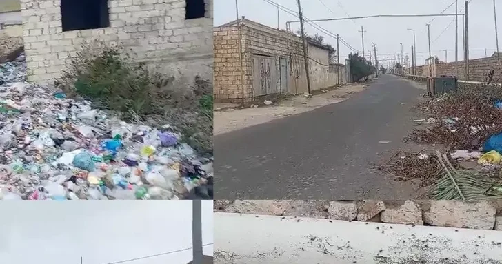 Мухи, комары и зловоние: коммунальный коллапс в поселке Тюркян