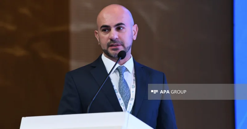 Departament direktoru: “Media Excellence Center” D 8 in qlobal təsirini artıracaq