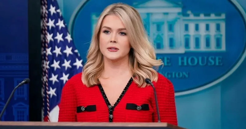 Ukrayna münaqişəsi heç nəyə baxmayaraq həll olunacaq Levitt