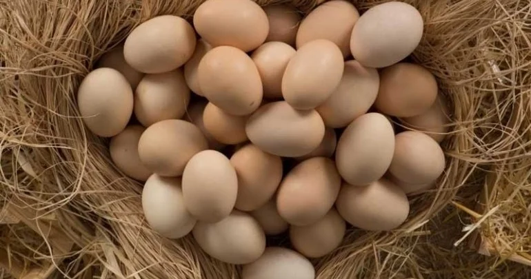 “Kənd yumurtası bazarda qiymətləri təyin etmir, daha baha satılır...”