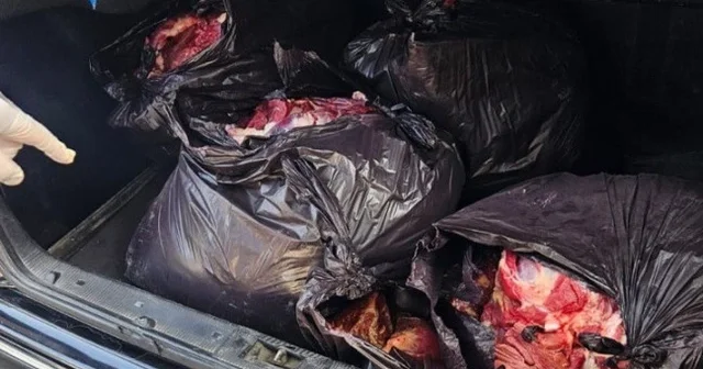 Bərdədə istehlaka yararsız at ətinin satışının qarşısı alınıb