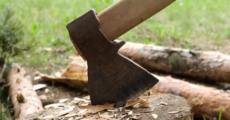 Yaşıl Vətən ə 84 min manatlıq zərər dəyib Ağacları kəsiblər