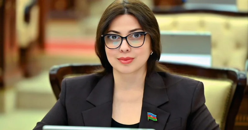 Cənubi Qafqazın ən böyük partiyası: Azərbaycan üçün hələ çox iş görəcək