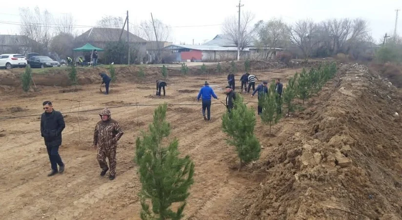 Biləsuvarda tullantılar atılan ərazidə “Ahıllar bağı salınır