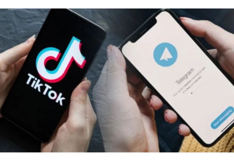 В одной из европейских стран планируют запретить TikTok и Telegram